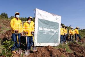 ATLIXCO . JORNADA DE REFORESTACIÓN