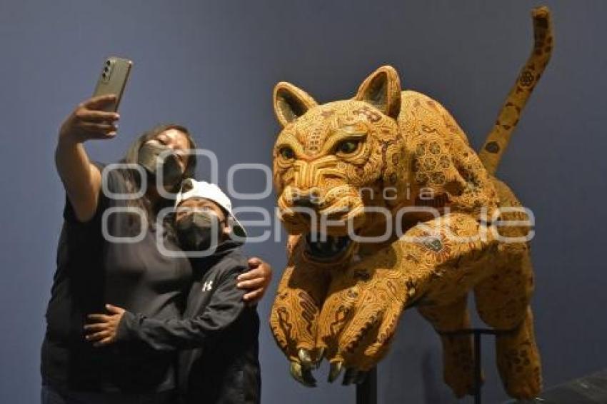 NOCHE DE MUSEOS