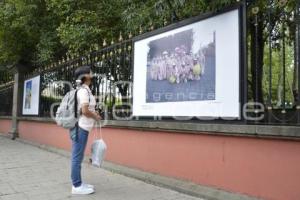 TLAXCALA . MUESTRA FOTOGRÁFICA