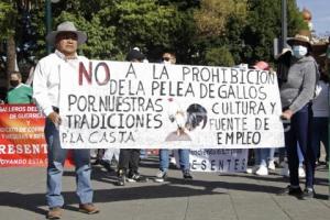 MANIFESTACIÓN GALLEROS