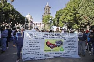 MANIFESTACIÓN GALLEROS