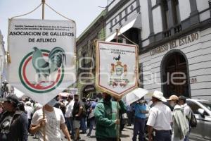 MANIFESTACIÓN GALLEROS