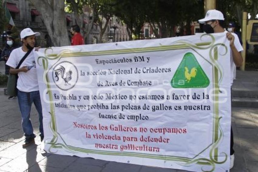 MANIFESTACIÓN GALLEROS