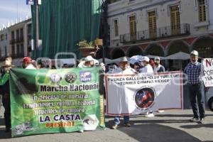 MANIFESTACIÓN GALLEROS