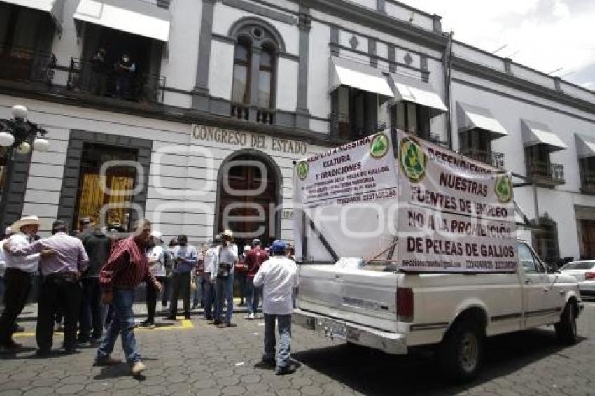 MANIFESTACIÓN GALLEROS