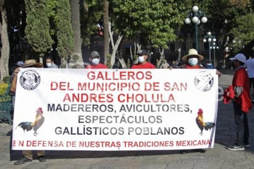 MANIFESTACIÓN GALLEROS