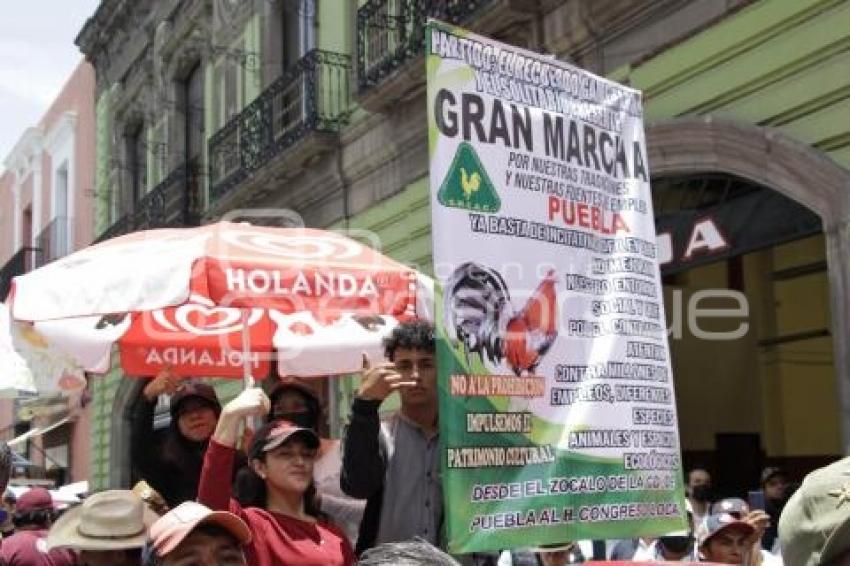 MANIFESTACIÓN GALLEROS