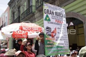 MANIFESTACIÓN GALLEROS