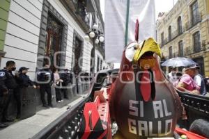 MANIFESTACIÓN GALLEROS