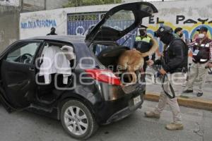 SEGURIDAD . OPERATIVO CEDA 360