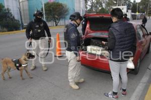 SEGURIDAD . OPERATIVO CEDA 360