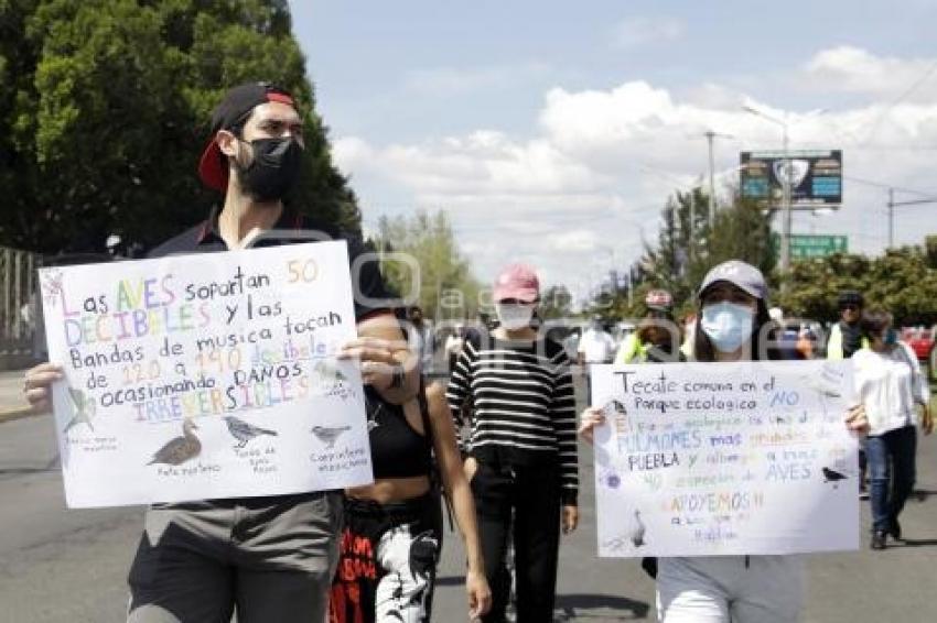 MANIFESTACIÓN TECATE COMUNA