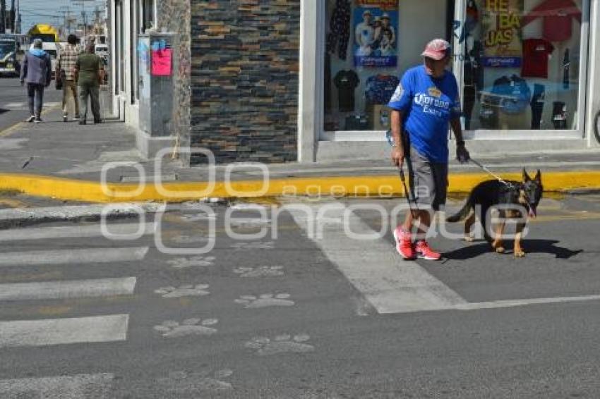 ATLIXCO . CRUCE HUELLITAS