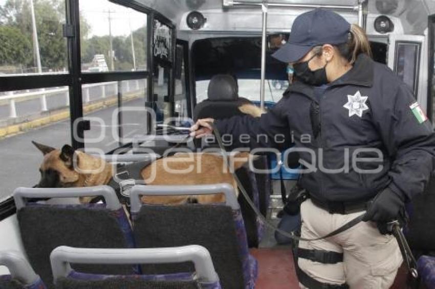 OPERATIVO TRANSPORTE SEGURO