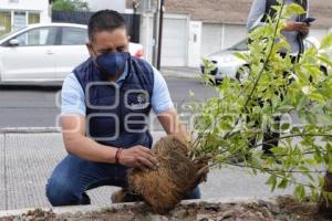 SAN ANDRÉS CHOLULA . JORNADA DE REFORESTACIÓN