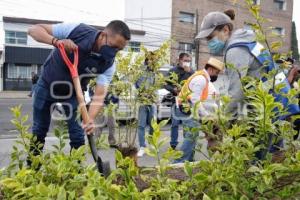 SAN ANDRÉS CHOLULA . JORNADA DE REFORESTACIÓN