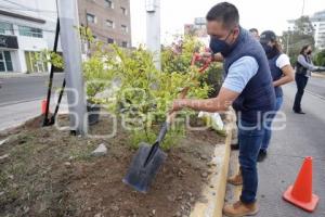 SAN ANDRÉS CHOLULA . JORNADA DE REFORESTACIÓN