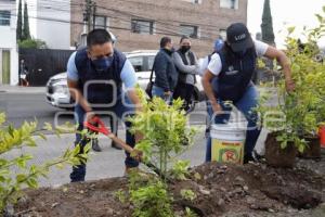 SAN ANDRÉS CHOLULA . JORNADA DE REFORESTACIÓN