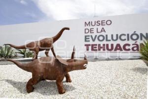 TEHUACÁN . MUSEO DE LA EVOLUCIÓN 