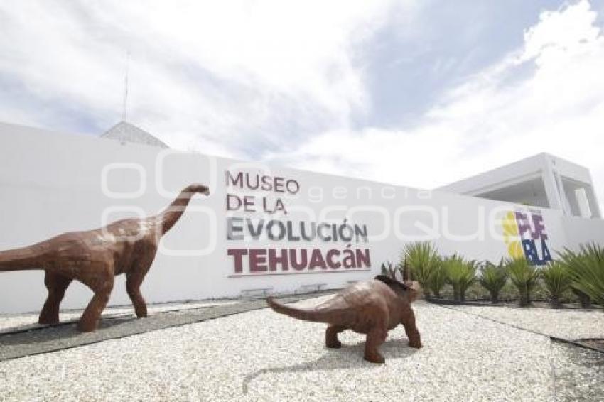 TEHUACÁN . MUSEO DE LA EVOLUCIÓN 