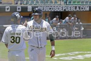 BÉISBOL . PERICOS VS SARAPEROS