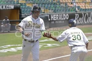 BÉISBOL . PERICOS VS SARAPEROS