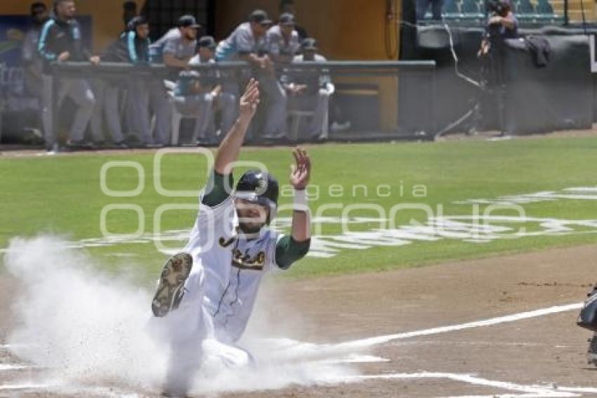 BÉISBOL . PERICOS VS SARAPEROS