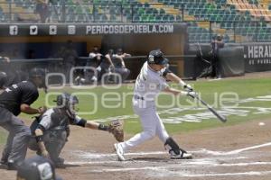 BÉISBOL . PERICOS VS SARAPEROS