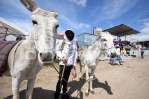 TLAXCALA . CARRERA DE BURROS