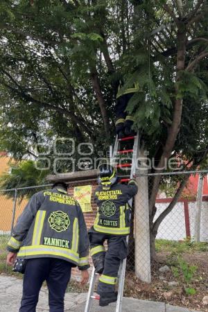 BOMBEROS