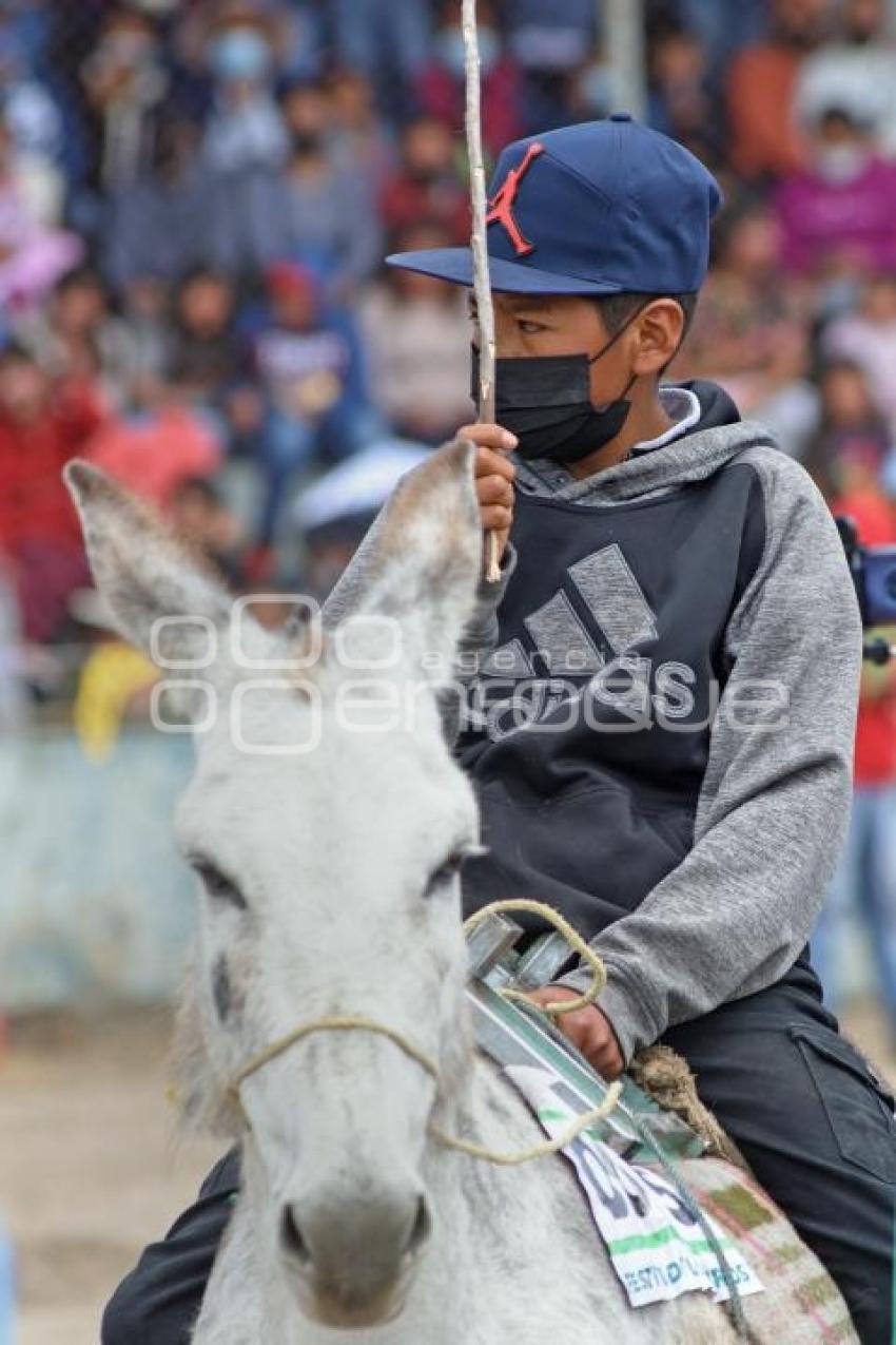 TLAXCALA . CARRERA DE BURROS