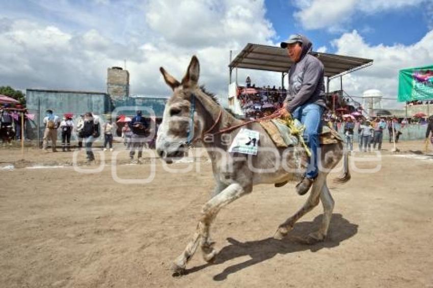 TLAXCALA . CARRERA DE BURROS