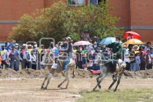 TLAXCALA . CARRERA DE BURROS