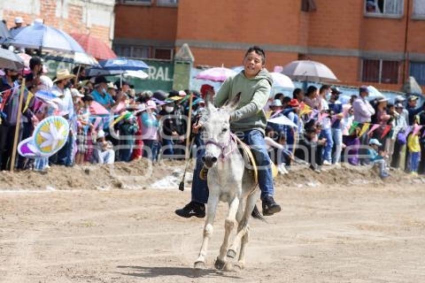 TLAXCALA . CARRERA DE BURROS