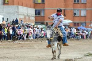 TLAXCALA . CARRERA DE BURROS