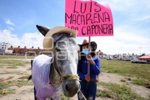 TLAXCALA . CARRERA DE BURROS