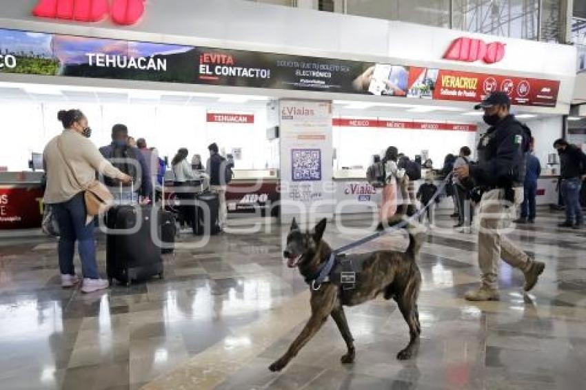 OPERATIVO VISITANTE SEGURO