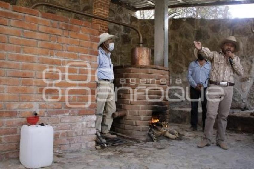 RUTA DEL MEZCAL