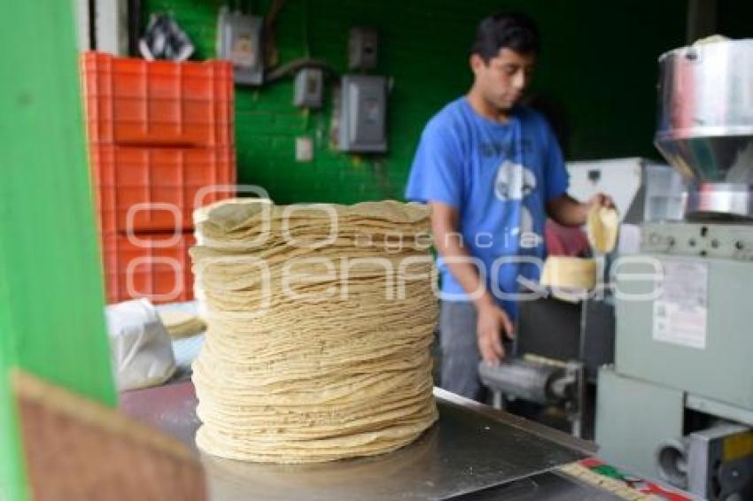 TLAXCALA . PRECIO TORTILLA