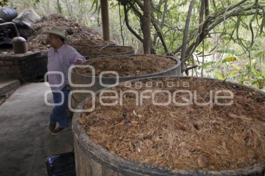 RUTA DEL MEZCAL 