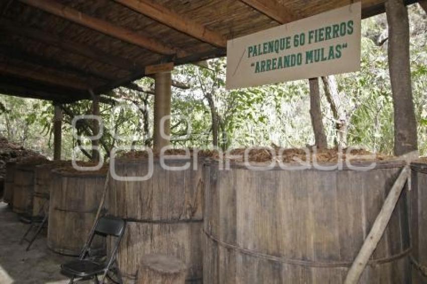 RUTA DEL MEZCAL