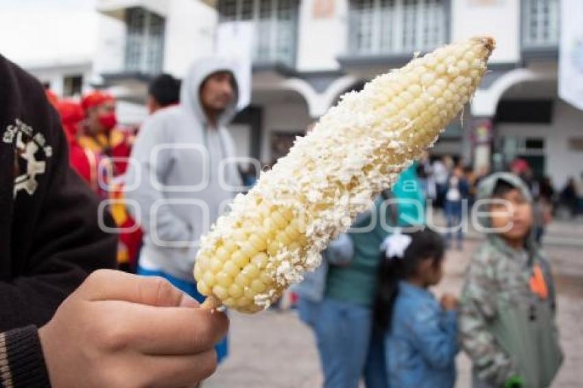 TLAXCALA . FERIA DEL ELOTE