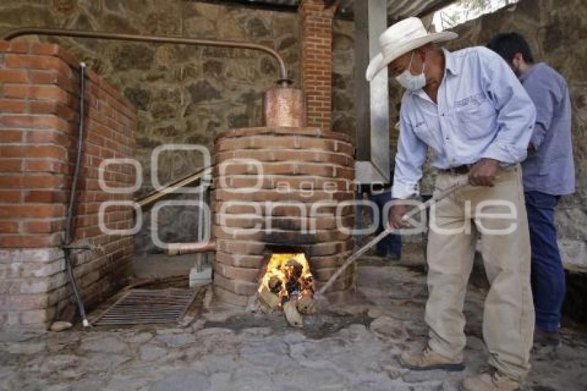 RUTA DEL MEZCAL