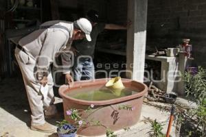 ACATLÁN . PREVENCIÓN DENGUE