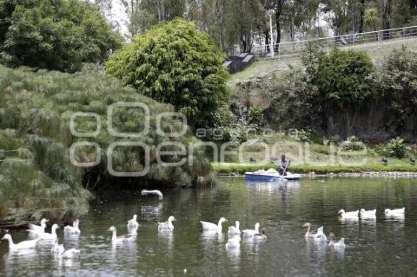 LAGO LA CONCORDIA