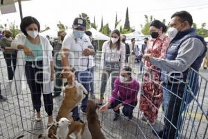 JORNADA ADULTOS MAYORES