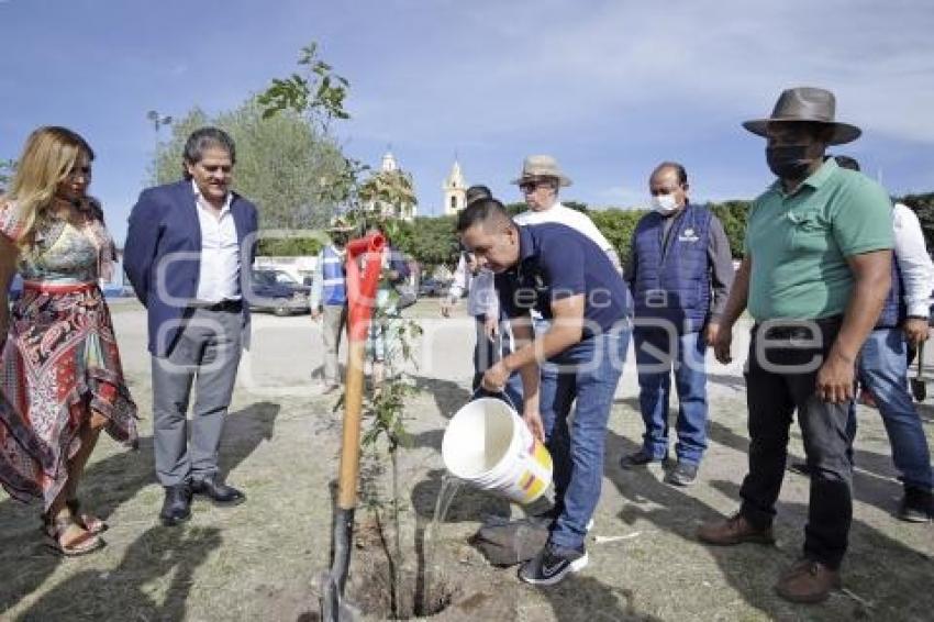 SAN ANDRÉS CHOLULA . REFORESTACIÓN