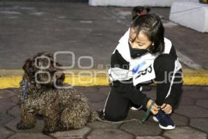 SAN ANDRÉS CHOLULA . CAMINATA CANINA