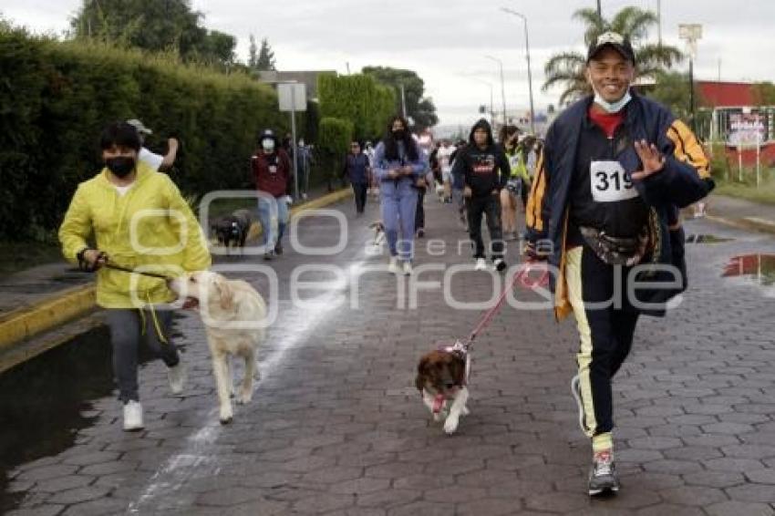 SAN ANDRÉS CHOLULA . CAMINATA CANINA