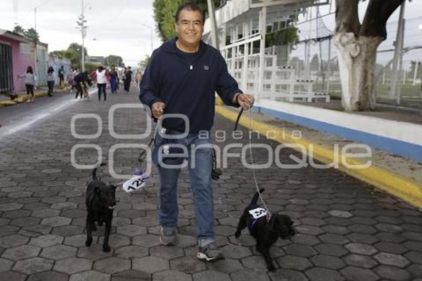 SAN ANDRÉS CHOLULA . CAMINATA CANINA